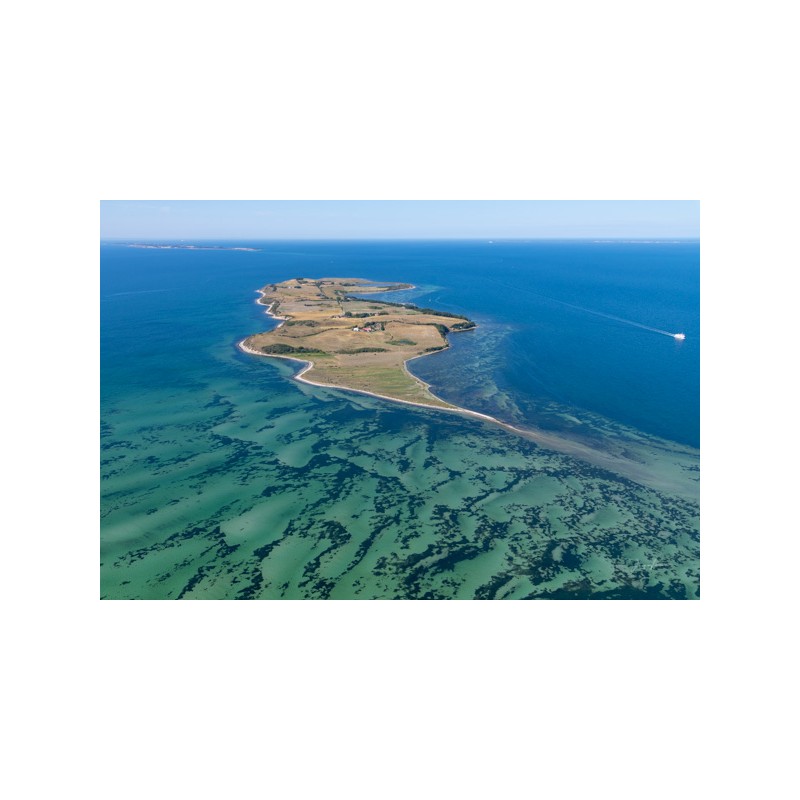 Nekselø