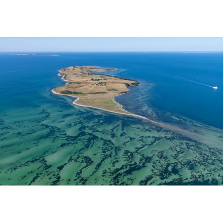 Nekselø