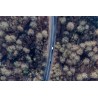 29012020-128