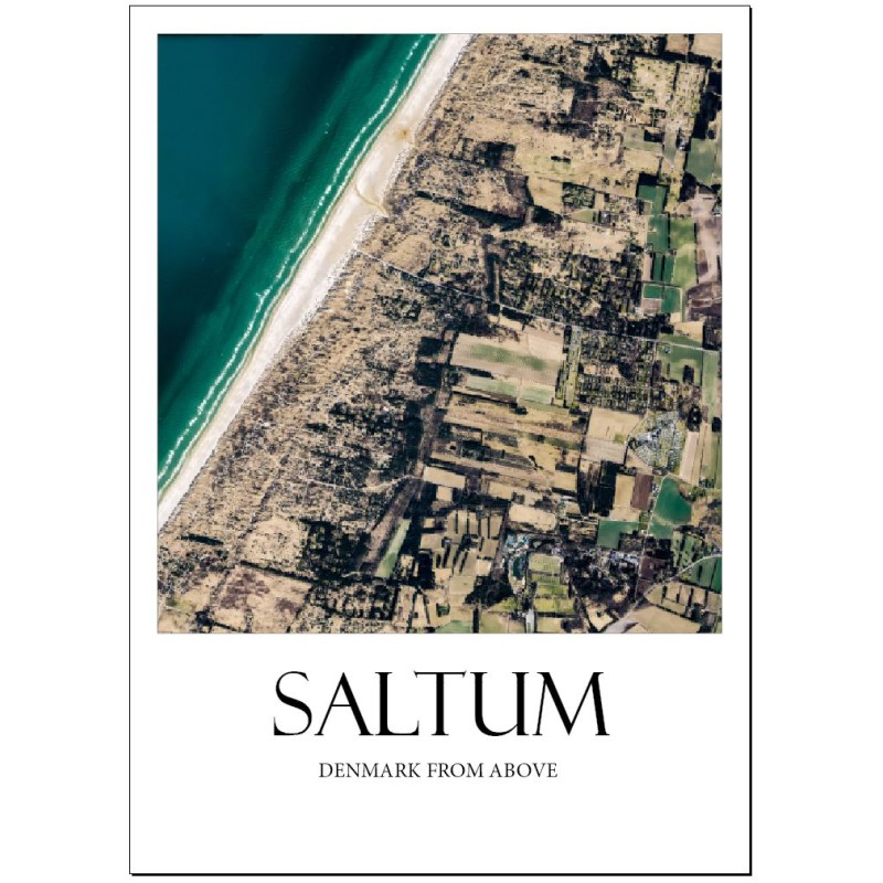 Saltum1
