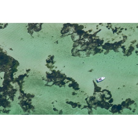Kalø Vig